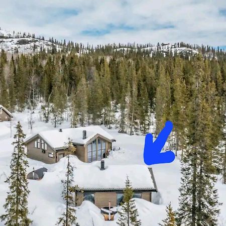 Cozy Mountain Cottage With Beautiful Views & Sauna Beitostolen Dış mekan fotoğraf