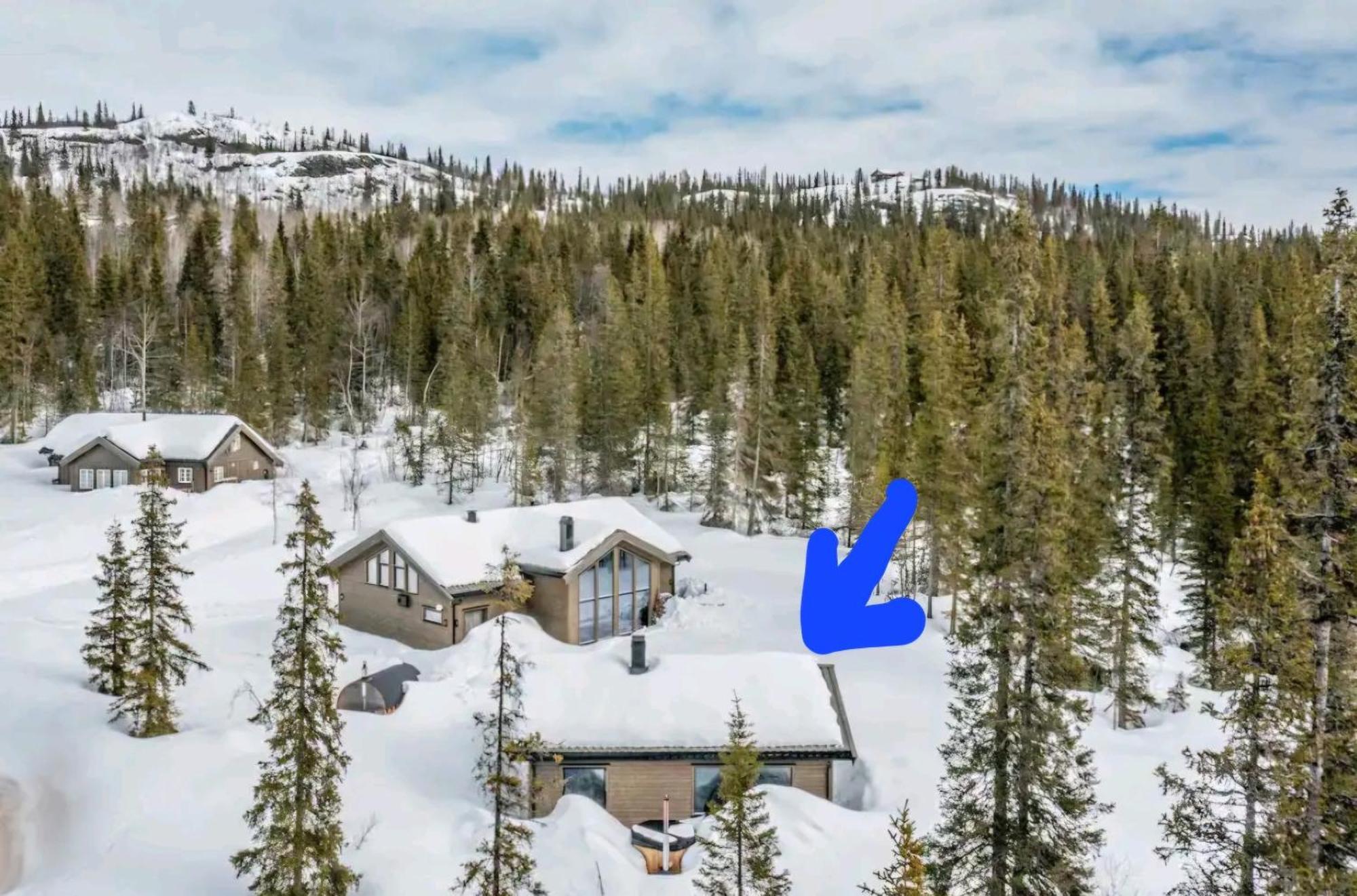 Cozy Mountain Cottage With Beautiful Views & Sauna Beitostolen Dış mekan fotoğraf