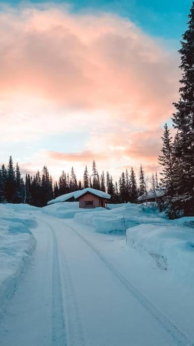 Cozy Mountain Cottage With Beautiful Views & Sauna Beitostolen Dış mekan fotoğraf